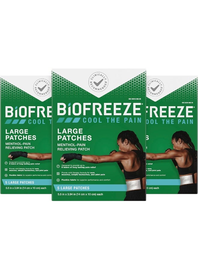 Biofreeze Pain Relief Patch, Large, 15 Patches - Image 1